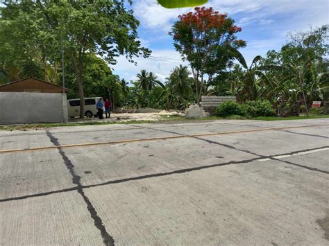 cebu beach lot for sale.